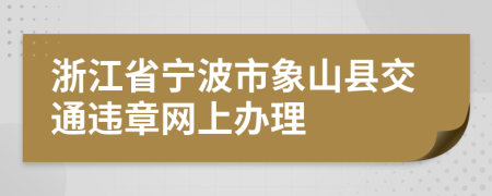 浙江省宁波市象山县交通违章网上办理