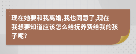 现在她要和我离婚,我也同意了,现在我想要知道应该怎么给抚养费给我的孩子呢？