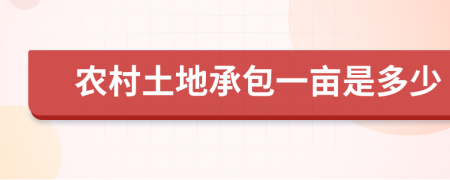 农村土地承包一亩是多少