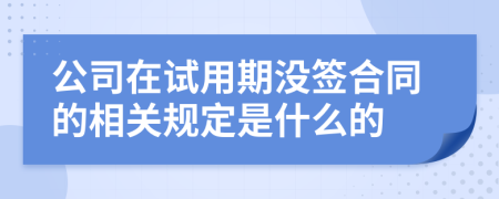 公司在试用期没签合同的相关规定是什么的