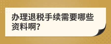 办理退税手续需要哪些资料啊？