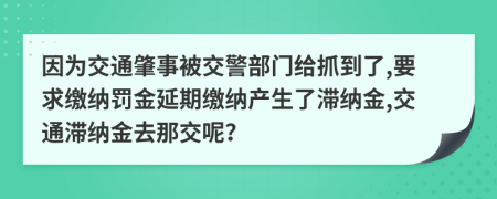 因为交通肇事被交警部门给抓到了,要求缴纳罚金延期缴纳产生了滞纳金,交通滞纳金去那交呢？