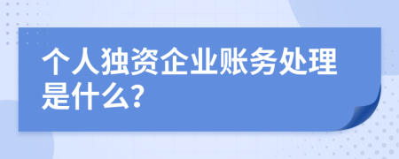 个人独资企业账务处理是什么？