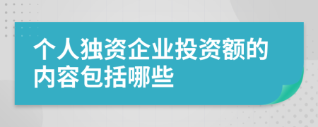 个人独资企业投资额的内容包括哪些