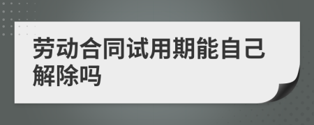 劳动合同试用期能自己解除吗
