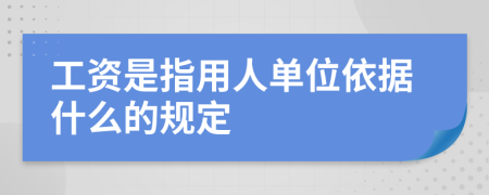 工资是指用人单位依据什么的规定