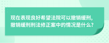 现在表现良好希望法院可以撤销缓刑,撤销缓刑刑法修正案中的情况是什么？