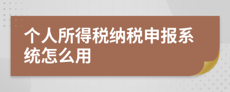 个人所得税纳税申报系统怎么用