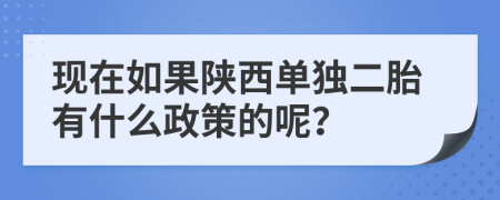 现在如果陕西单独二胎有什么政策的呢？