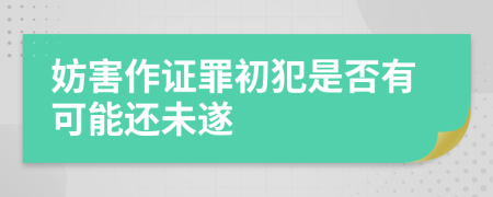 妨害作证罪初犯是否有可能还未遂