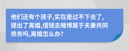 他们还有个孩子,实在是过不下去了,提出了离婚,借钱去赌博属于夫妻共同债务吗,离婚怎么办？
