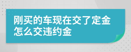 刚买的车现在交了定金怎么交违约金