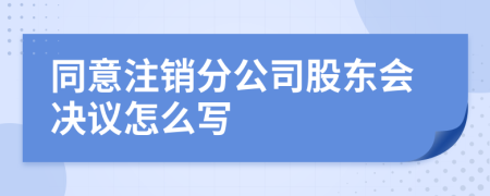 同意注销分公司股东会决议怎么写