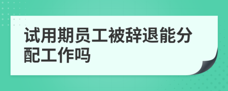 试用期员工被辞退能分配工作吗