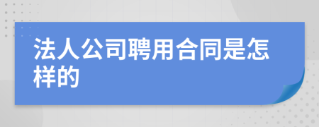 法人公司聘用合同是怎样的