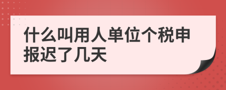 什么叫用人单位个税申报迟了几天