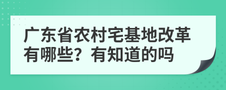 广东省农村宅基地改革有哪些？有知道的吗