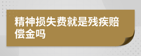 精神损失费就是残疾赔偿金吗