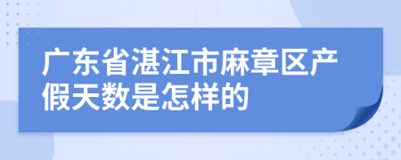 广东省湛江市麻章区产假天数是怎样的