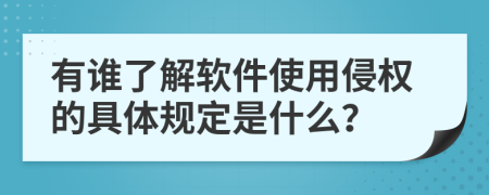 有谁了解软件使用侵权的具体规定是什么？