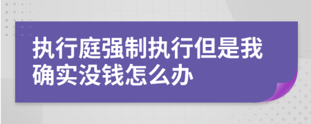 执行庭强制执行但是我确实没钱怎么办