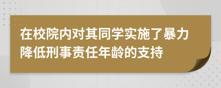 在校院内对其同学实施了暴力降低刑事责任年龄的支持