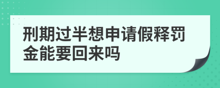 刑期过半想申请假释罚金能要回来吗