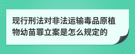 现行刑法对非法运输毒品原植物幼苗罪立案是怎么规定的