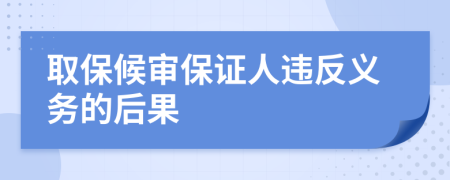 取保候审保证人违反义务的后果