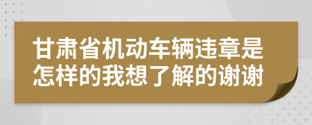 甘肃省机动车辆违章是怎样的我想了解的谢谢