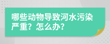 哪些动物导致河水污染严重？怎么办？