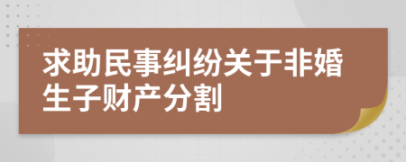 求助民事纠纷关于非婚生子财产分割