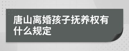 唐山离婚孩子抚养权有什么规定