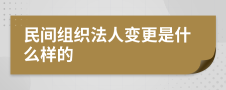 民间组织法人变更是什么样的