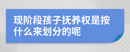 现阶段孩子抚养权是按什么来划分的呢
