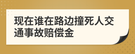 现在谁在路边撞死人交通事故赔偿金