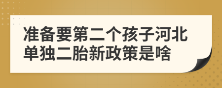 准备要第二个孩子河北单独二胎新政策是啥