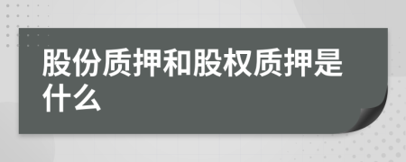 股份质押和股权质押是什么