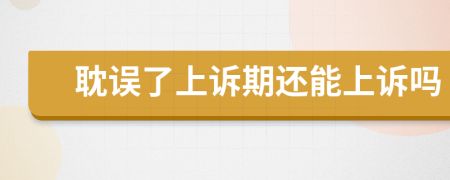 耽误了上诉期还能上诉吗