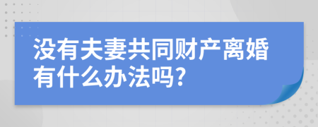 没有夫妻共同财产离婚有什么办法吗?