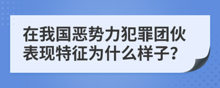 在我国恶势力犯罪团伙表现特征为什么样子？