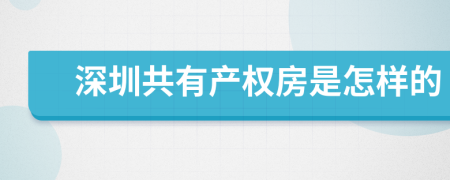 深圳共有产权房是怎样的