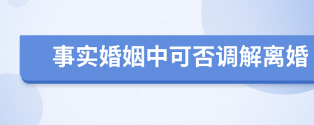 事实婚姻中可否调解离婚