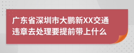 广东省深圳市大鹏新XX交通违章去处理要提前带上什么