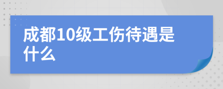 成都10级工伤待遇是什么