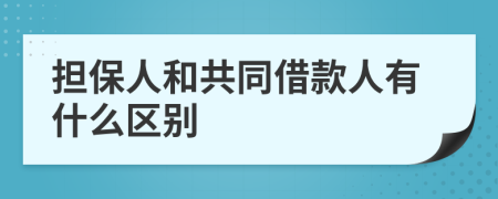 担保人和共同借款人有什么区别