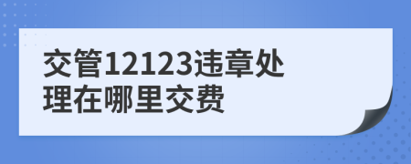 交管12123违章处理在哪里交费