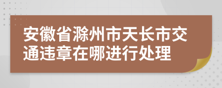 安徽省滁州市天长市交通违章在哪进行处理