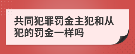 共同犯罪罚金主犯和从犯的罚金一样吗