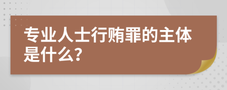 专业人士行贿罪的主体是什么？